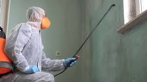 Mold Odor Removal Services in Mount Hope, WV